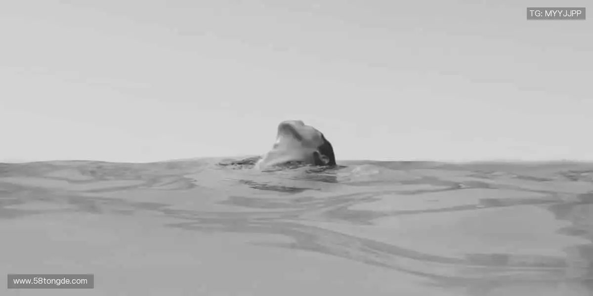 💻高清直播,身临其境!📡